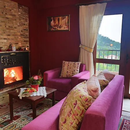 호텔 Efes Butik 키라즐리