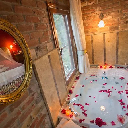 호텔 Efes Butik 3*