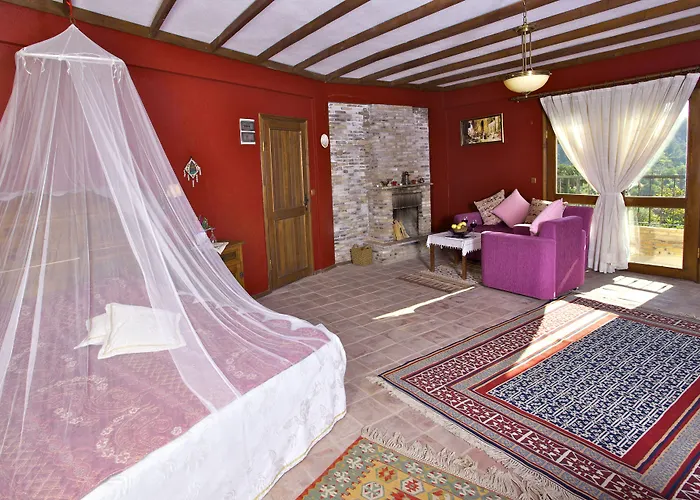 Efes Butik Otel Kirazlı