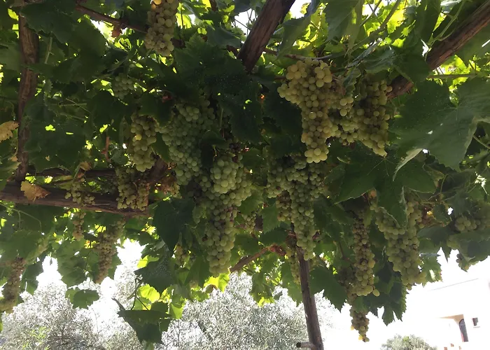 Efes Butik 3* Kirazlı