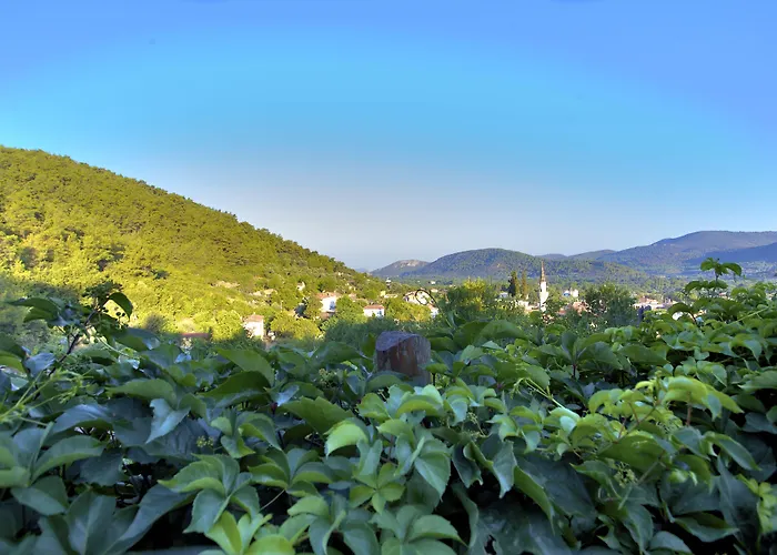 Otel Efes Butik Kirazlı